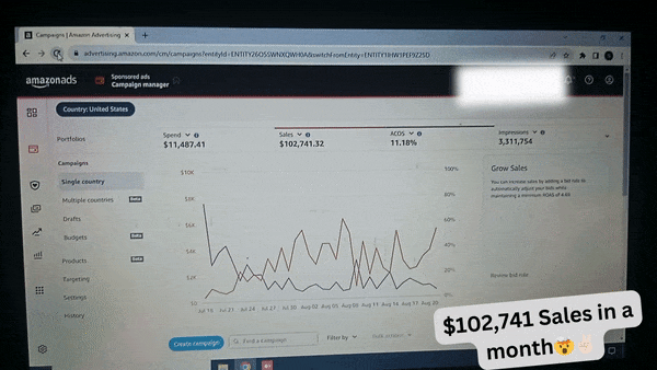 Amazon PPC client result