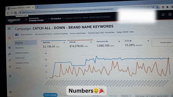 Amazon PPC client result